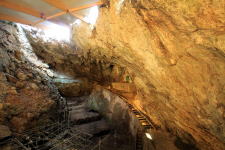 アルタミラ洞窟などの洞窟画（世界遺産スクエア）